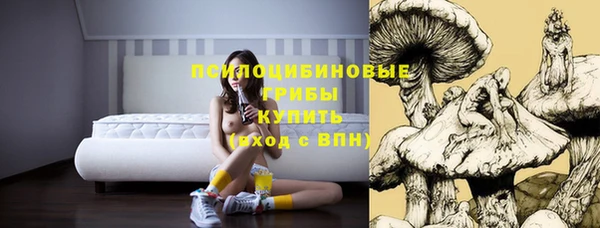 альфа пвп Арсеньев