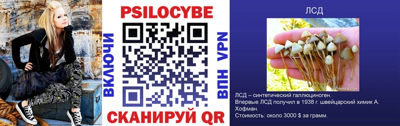 где купить наркоту  Славск  Галлюциногенные грибы Cubensis 