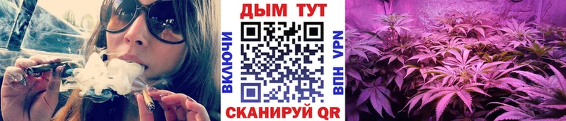 кракен сайт  Славск  МАРИХУАНА ГИДРОПОН 